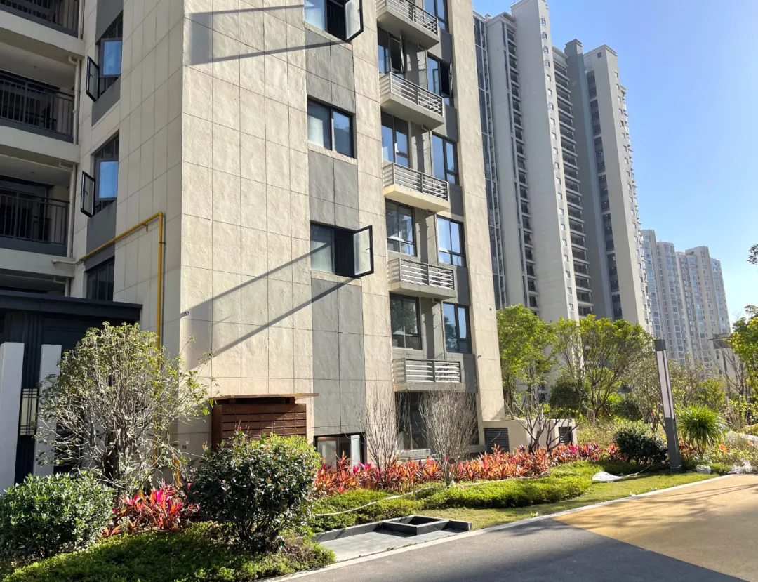新闻配图 4