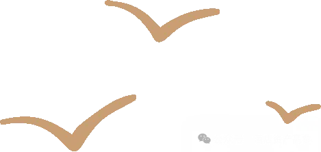 新闻配图