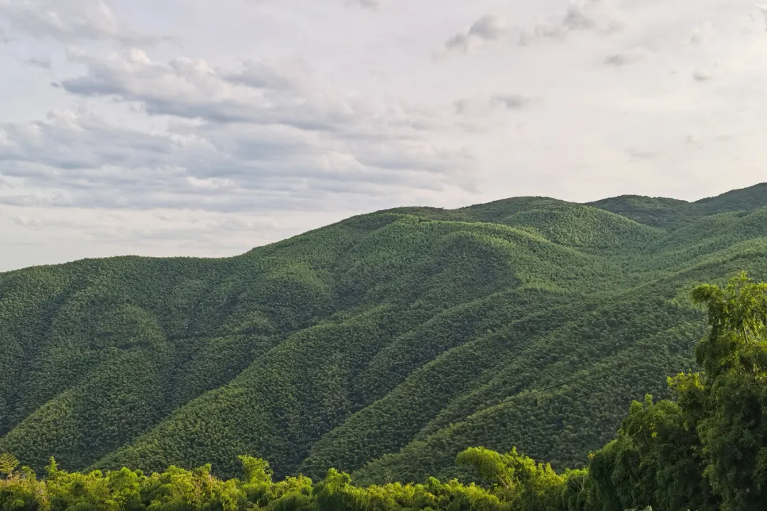 咫间设计打造莫干山大白熊营地原始棚屋风设计案例 - 图片 9