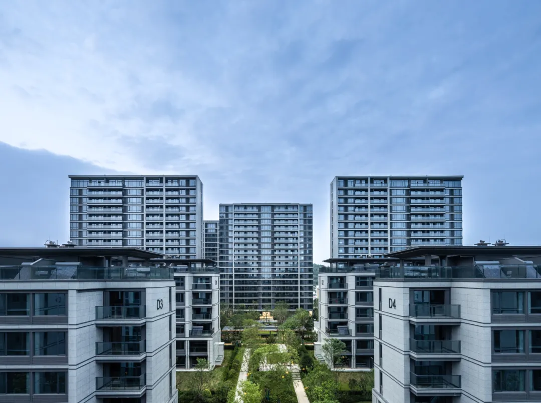 新闻配图 2