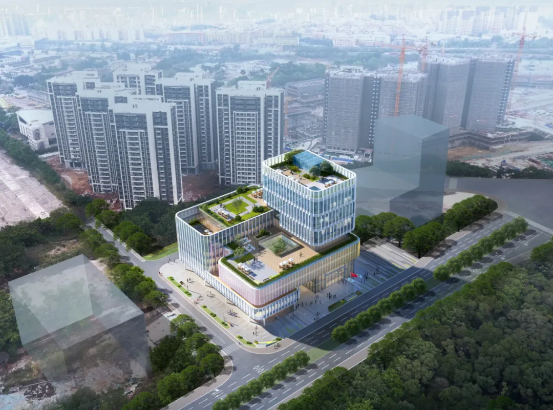 新闻配图 2