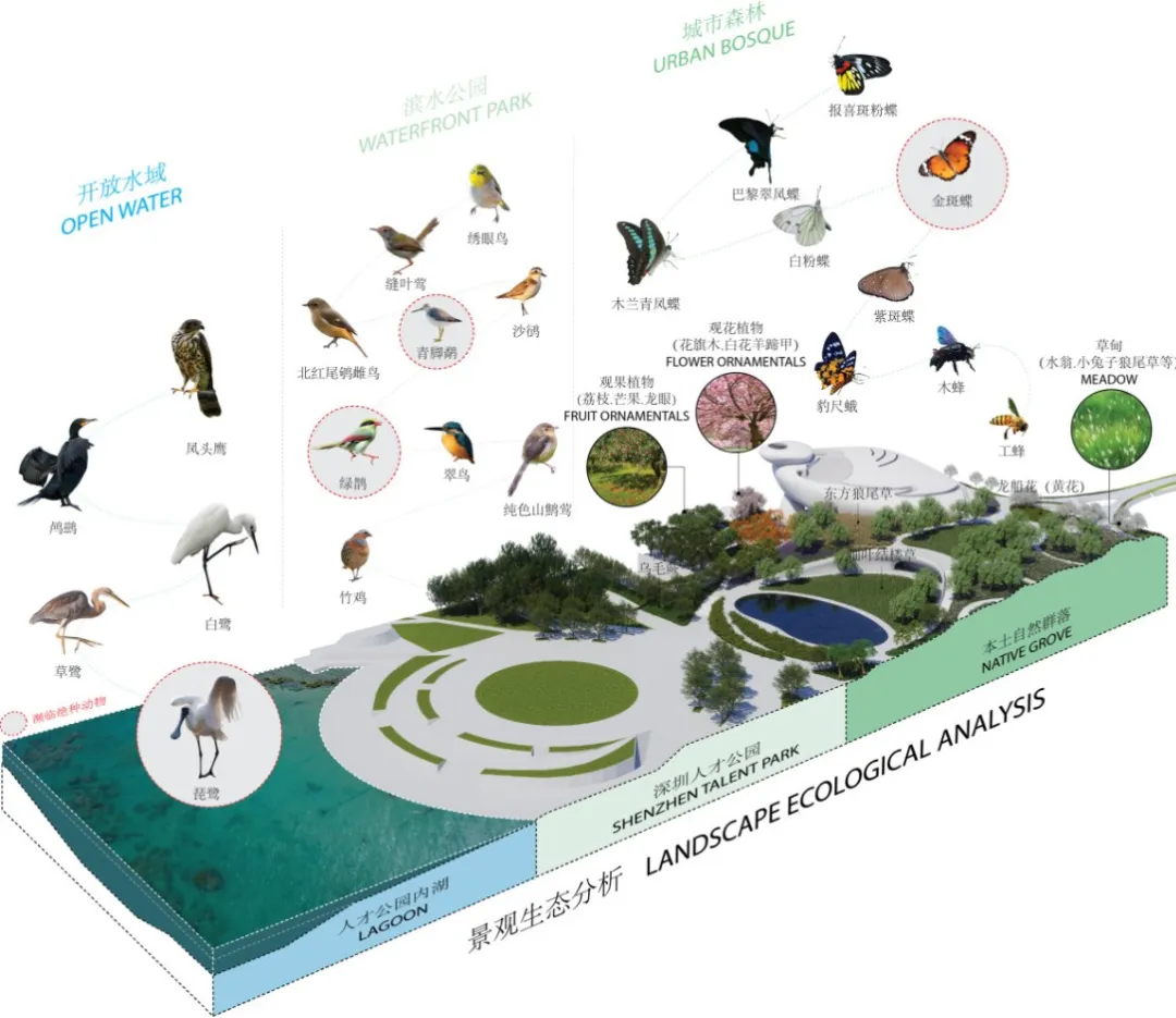 MAD深圳湾文化广场近完工成自然人文生活融合设计样本 - 图片 8
