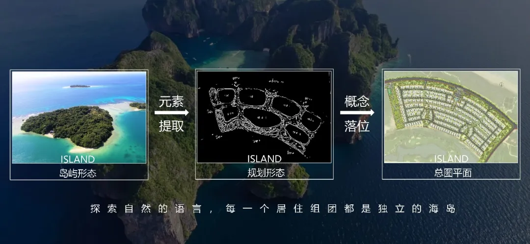 图片 4