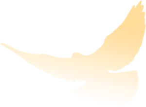 新闻配图 1