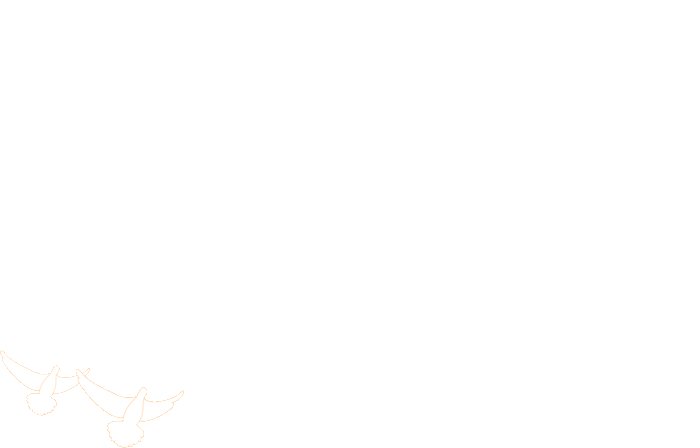 新闻配图 4