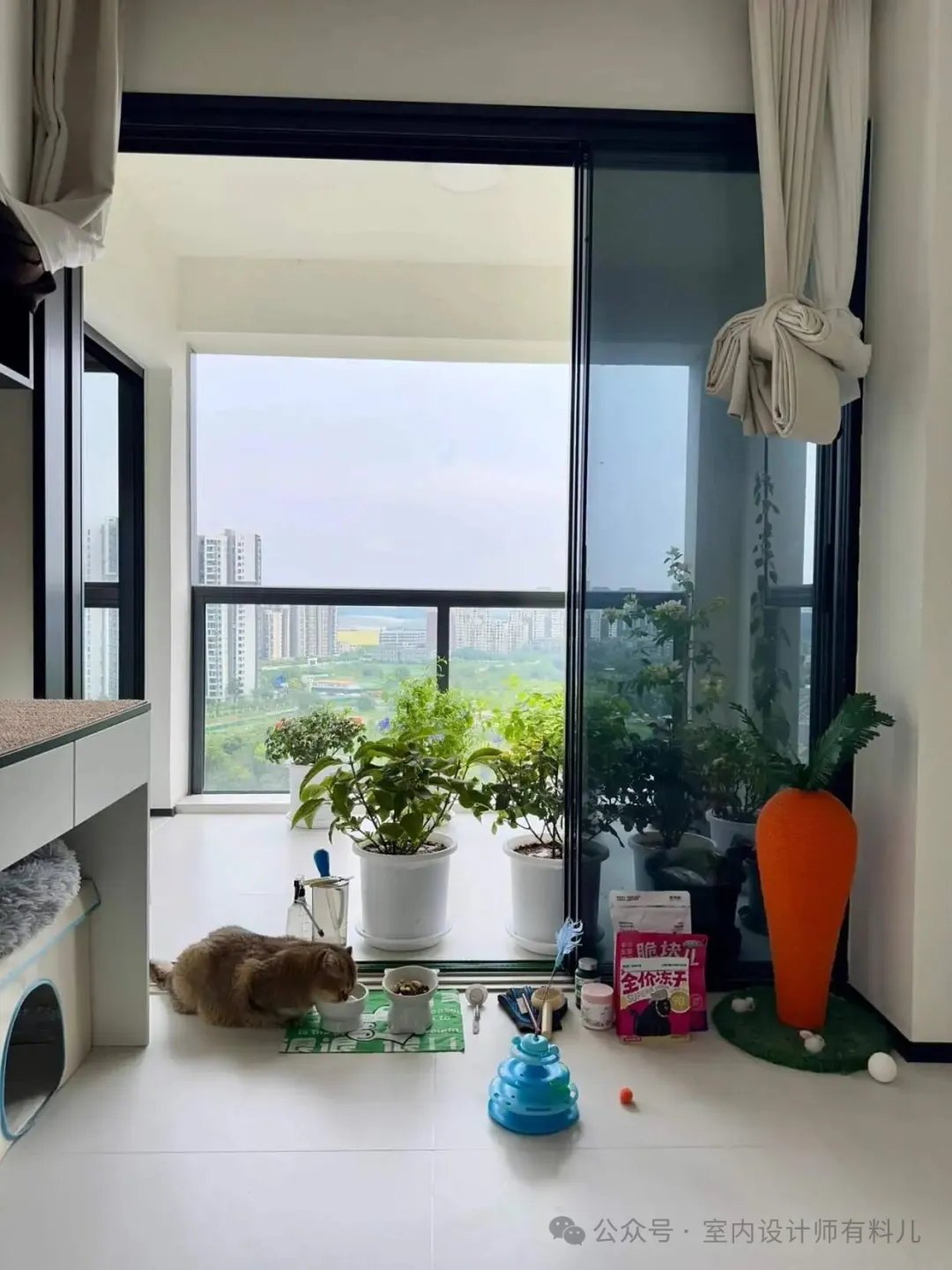 新闻配图 3