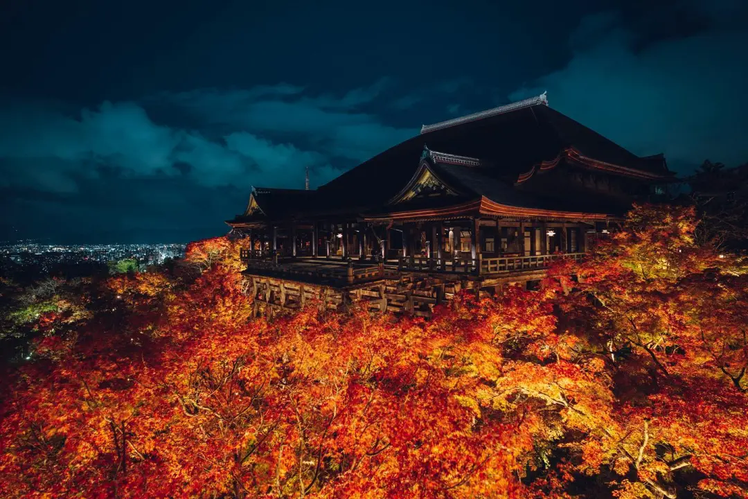 新闻配图 4