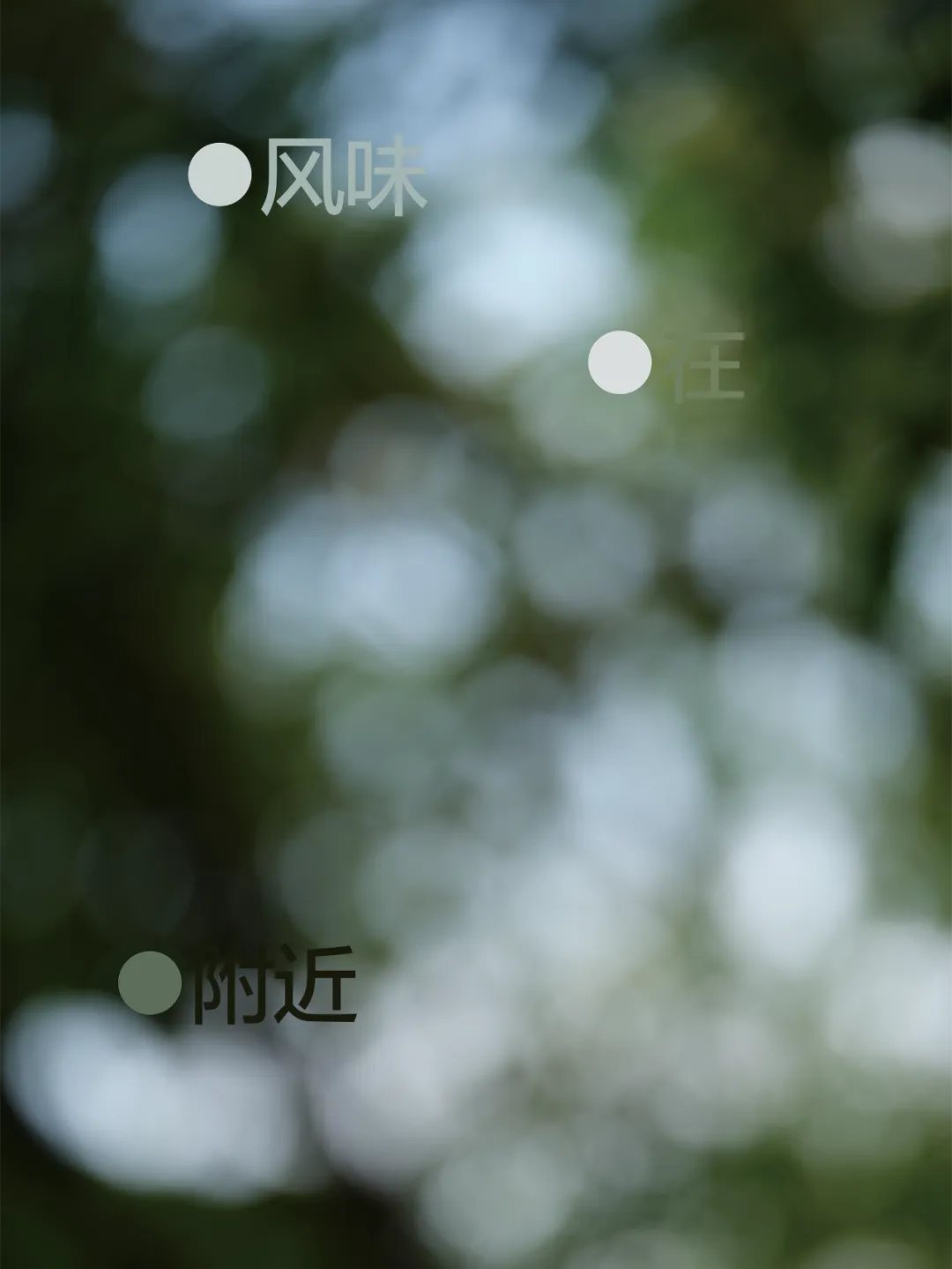 新闻配图
