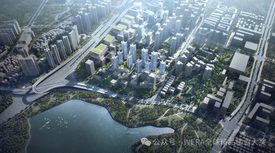 新闻配图 4