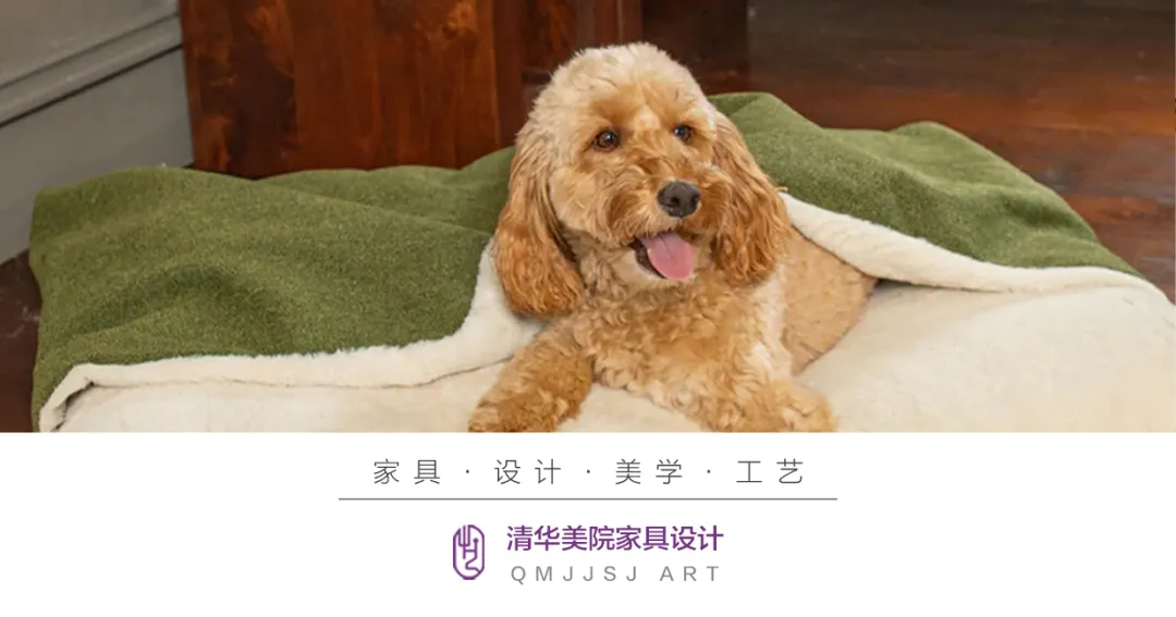 新闻配图 1