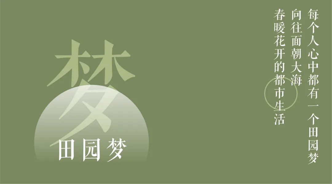 新闻配图 2