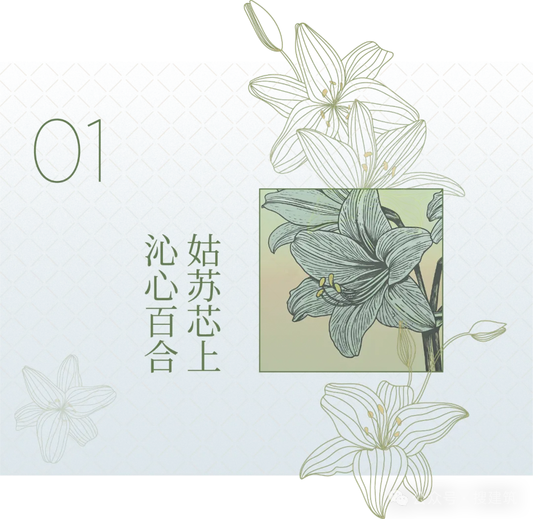 新闻配图 2