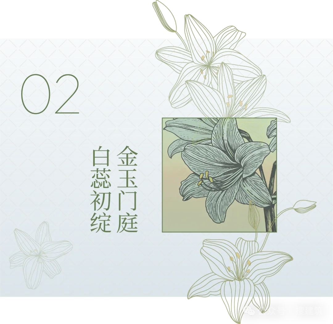 绿城苏州沁百合示范区：用百合串起江南与国际的栖居设计 - 图片 5