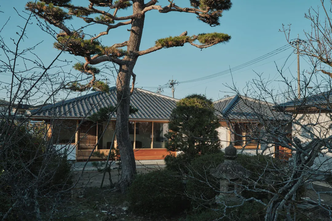新闻配图 4