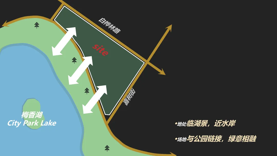 新闻配图 4