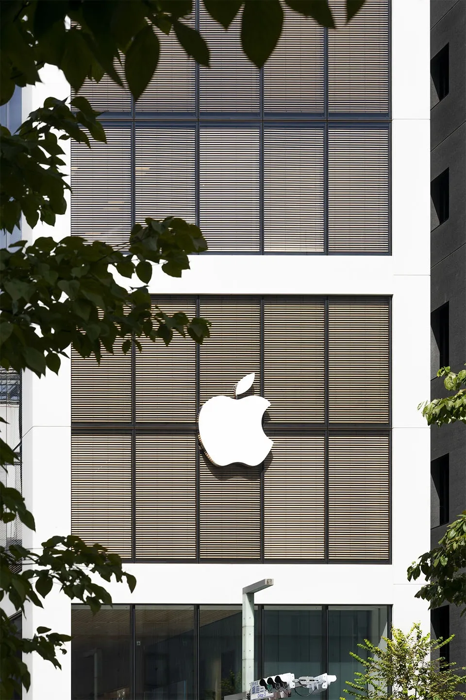 Foster+Partners重设Apple银座店：融苹果体验日传统环保 - 图片 5