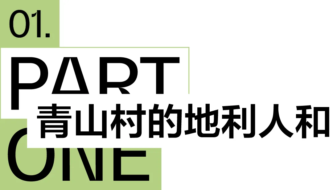 新闻配图 4