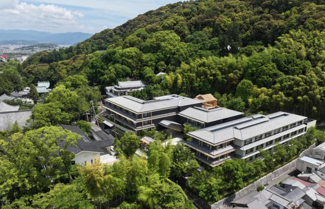 新闻配图 3