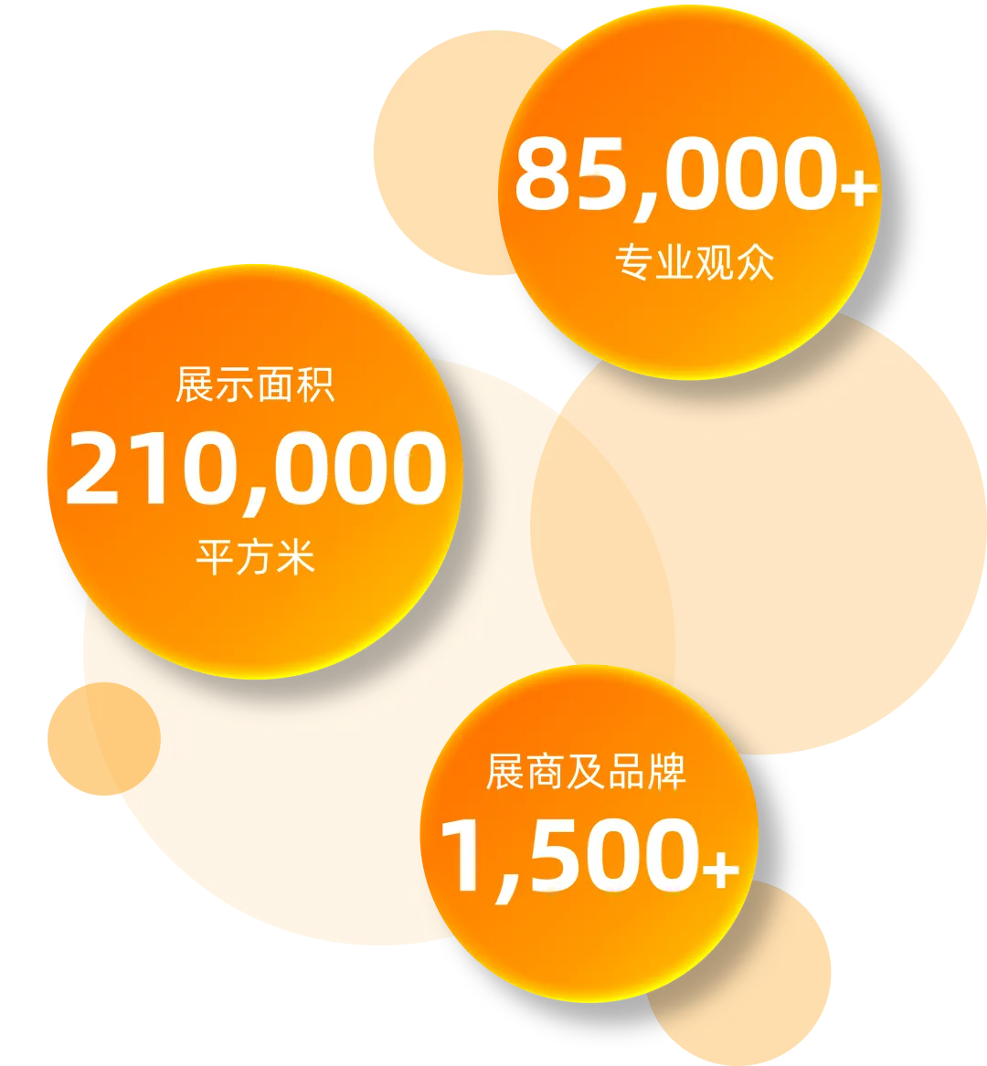 新闻配图 2