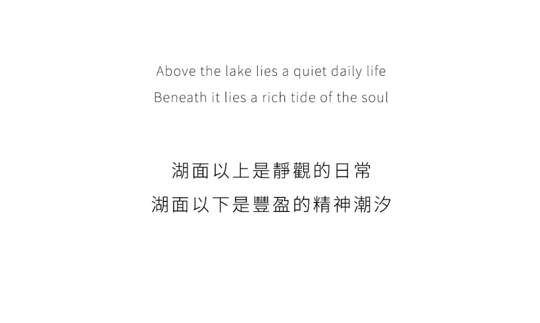 新闻配图 4