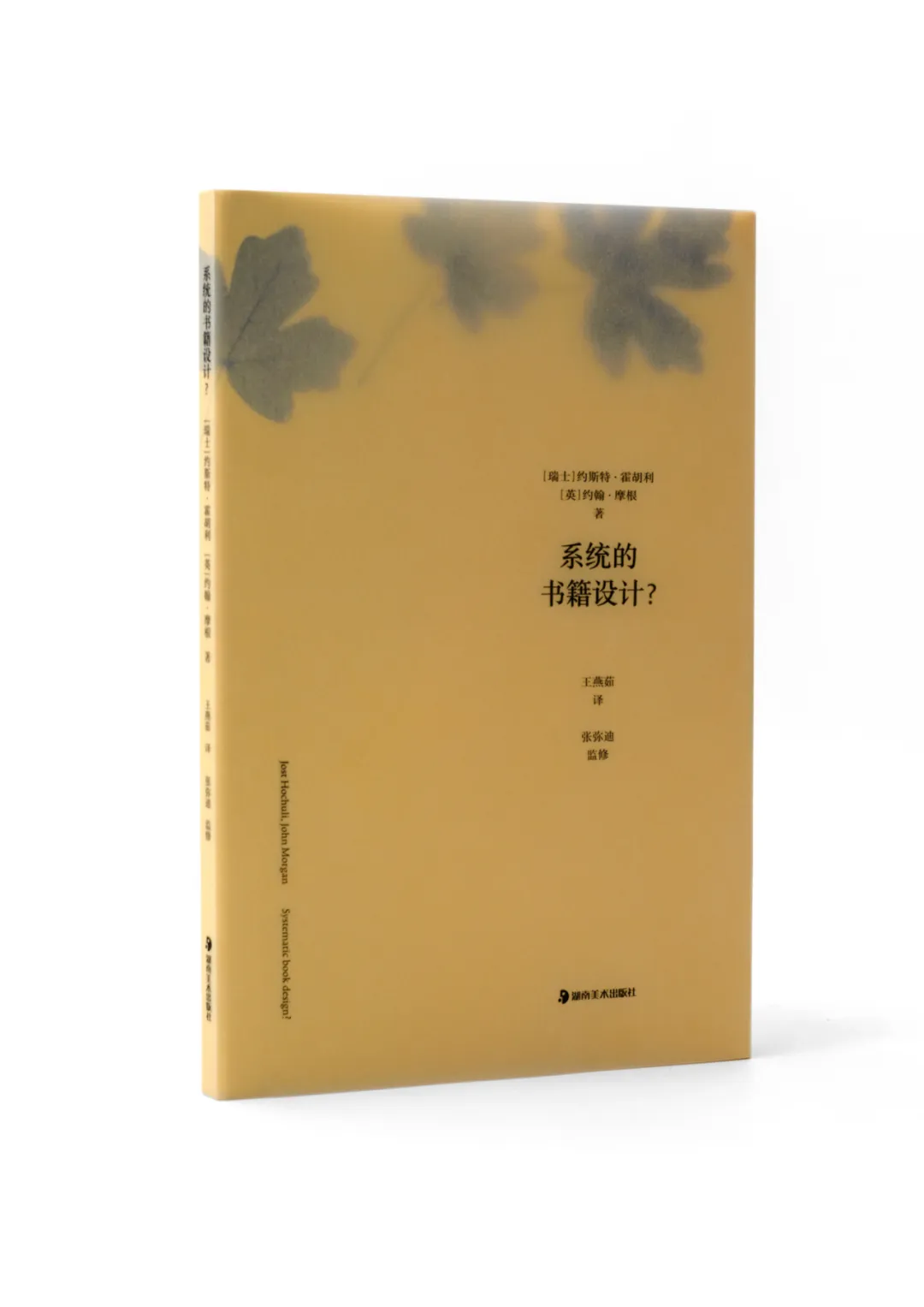 新闻配图 2