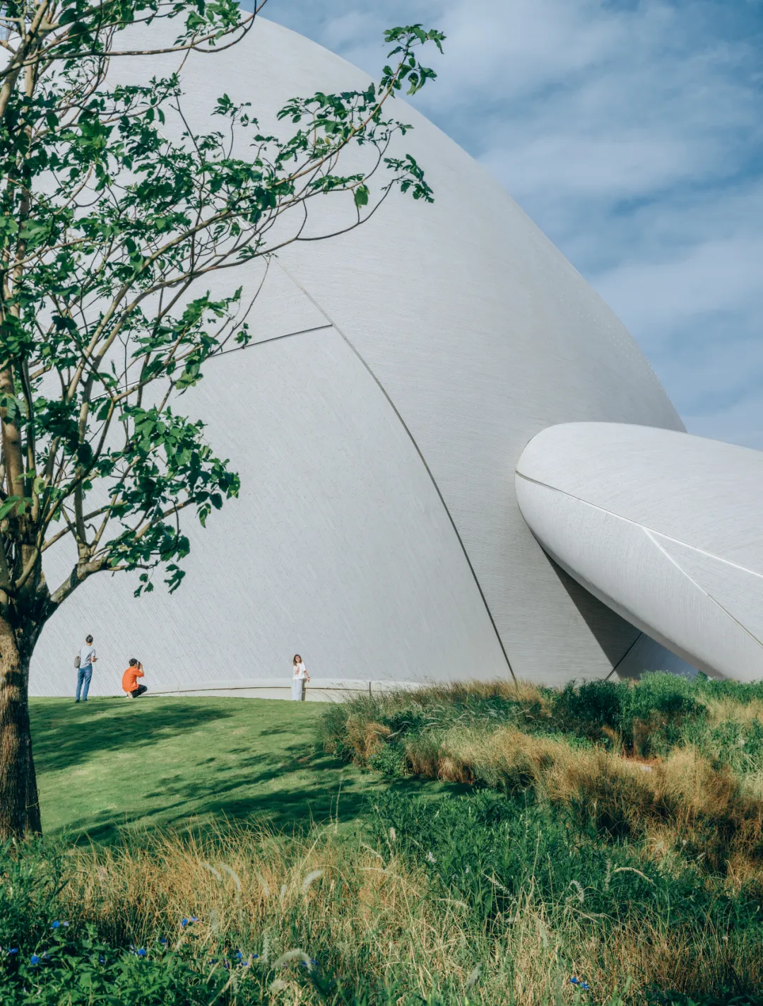 湾区新场地即将呈现丨马岩松MAD深圳湾文化广场 - 图片 6