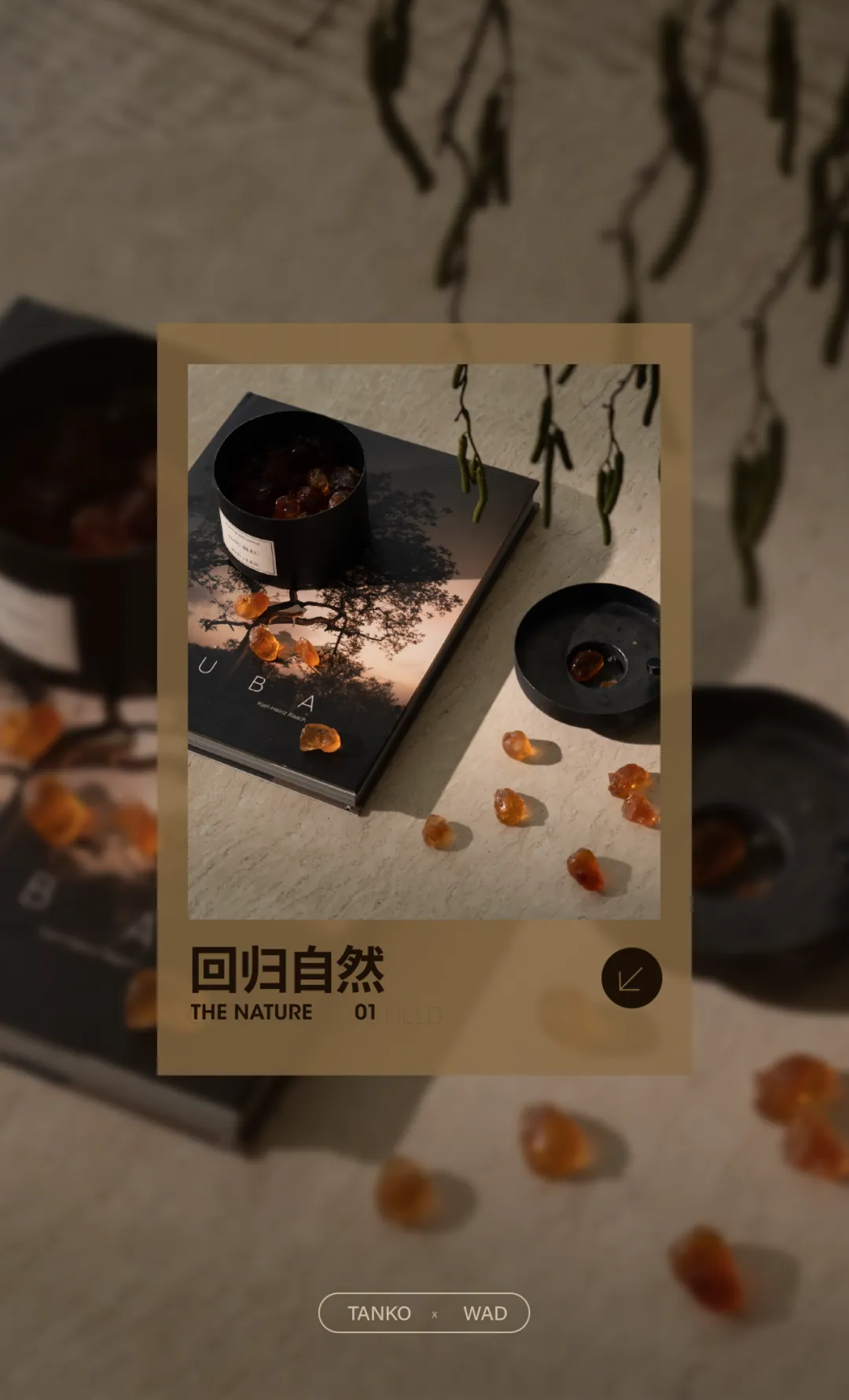 檀谷·若丘138户型样板间凭山居自然共生设计火出圈 - 图片 7