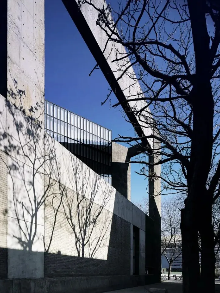 建筑大师周恺旧照火 学生作品与落地项目启设计师 - 图片 6