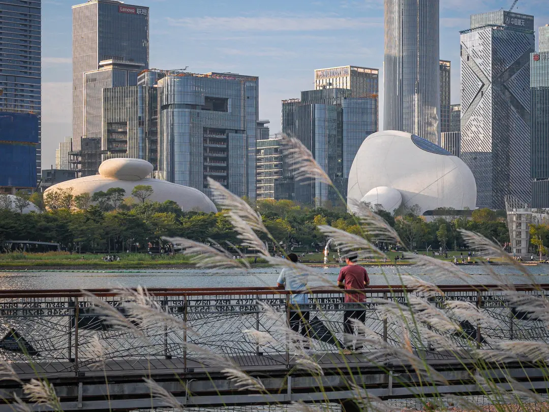 马岩松MAD深圳湾文化广场今开放 设计之都迎新里程碑 - 图片 6