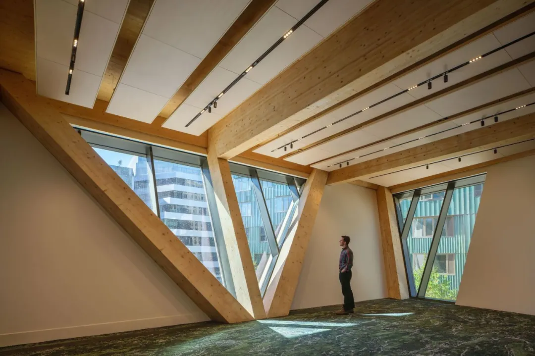 哈佛首座“树屋”交流中心竣工 重型木结构造创新空间 - 图片 8