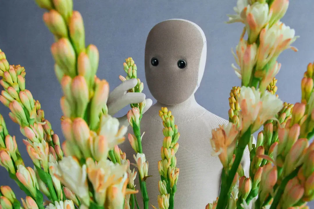 全球首款家务机器人开放预订！月租3600，结果拿瓶水要1分钟，背后还藏着真人操控？ - 图片 5