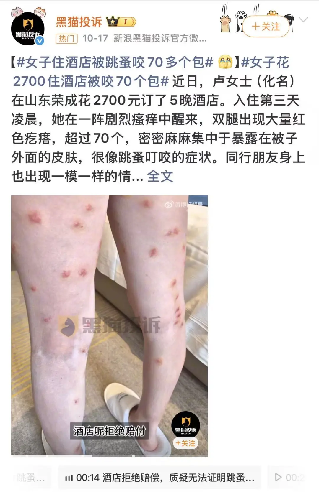 酒店虫害争议频出，室内设计需关注防虫细节 - 图片 5