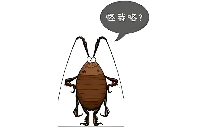 酒店虫害争议频出，室内设计需关注防虫细节 - 图片 6