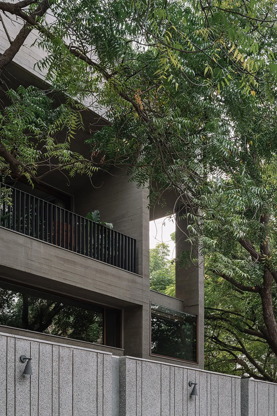 留九棵楝树！粗野主义住宅变自然共生温暖家 - 图片 5
