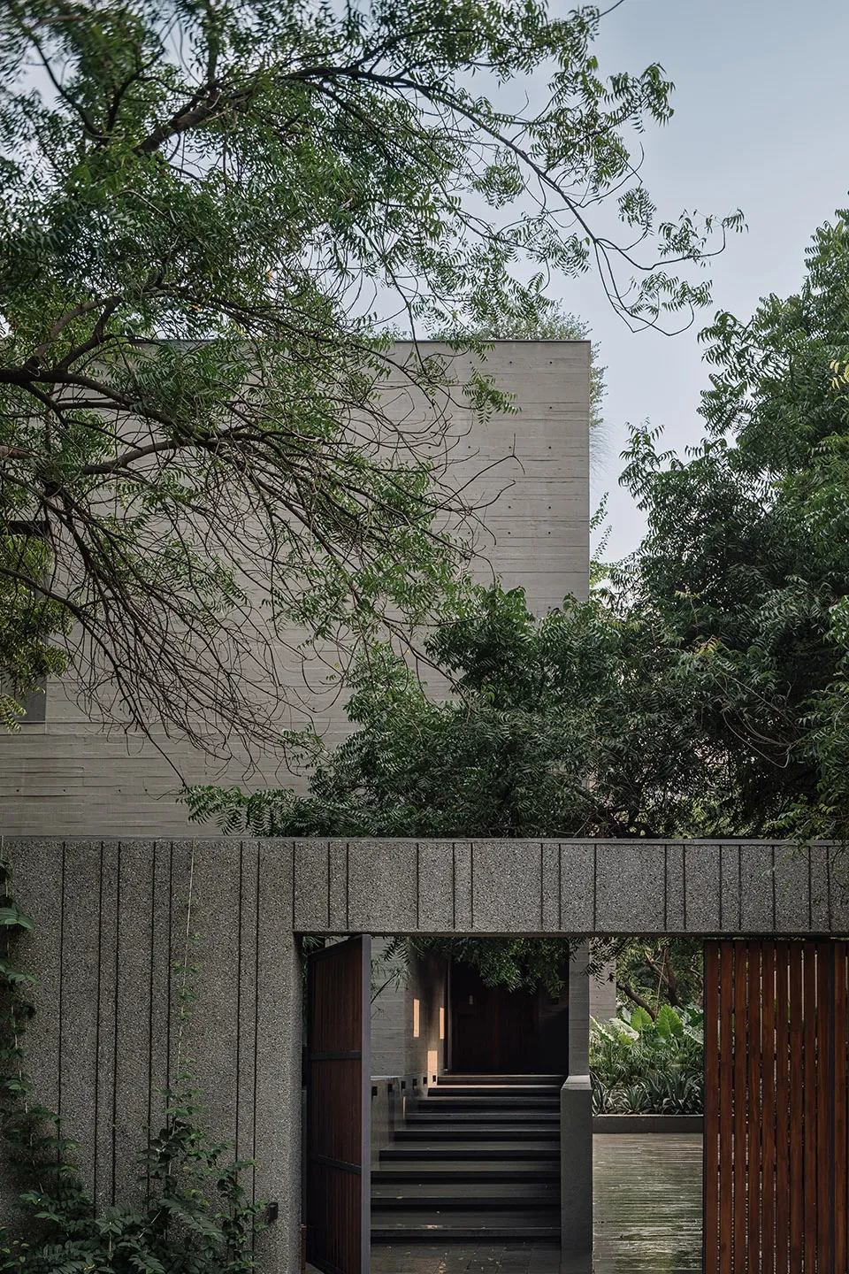 留九棵楝树！粗野主义住宅变自然共生温暖家 - 图片 6