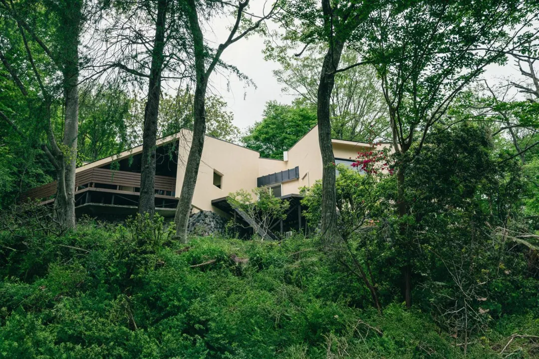 末松優一的民宿改造：现代主义如何“融入”自然？ - 图片 5