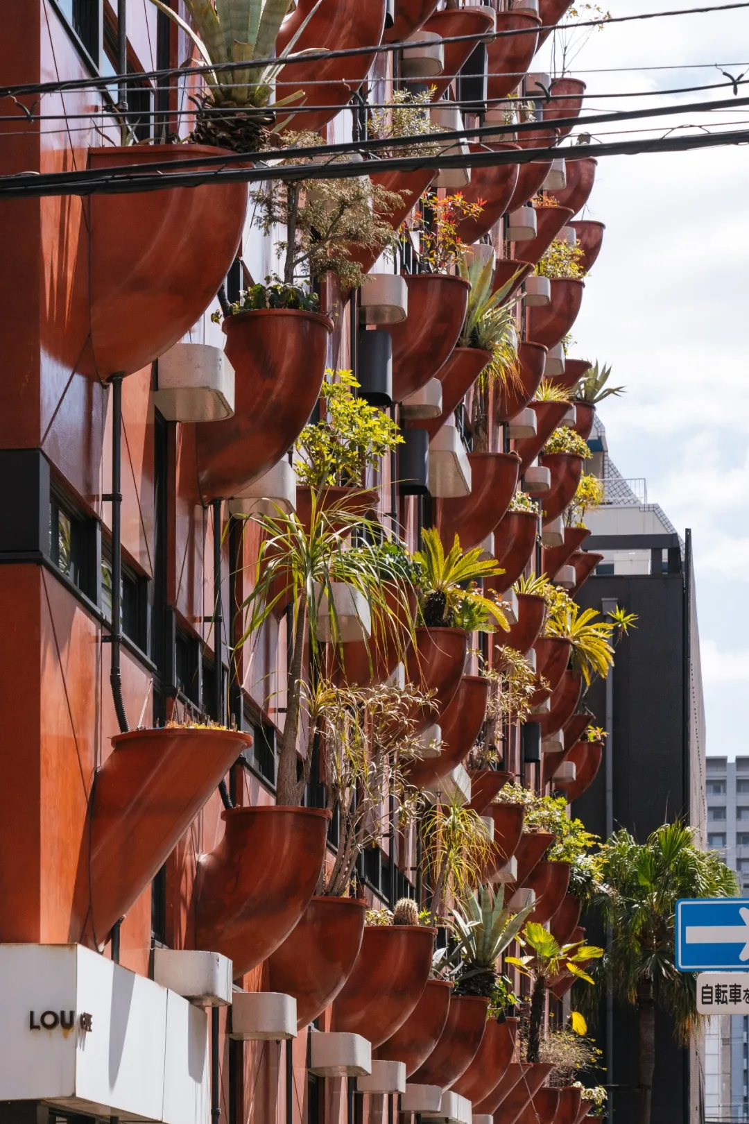 全球三个生态建筑案例用创新立面打破建筑自然边界 - 图片 5