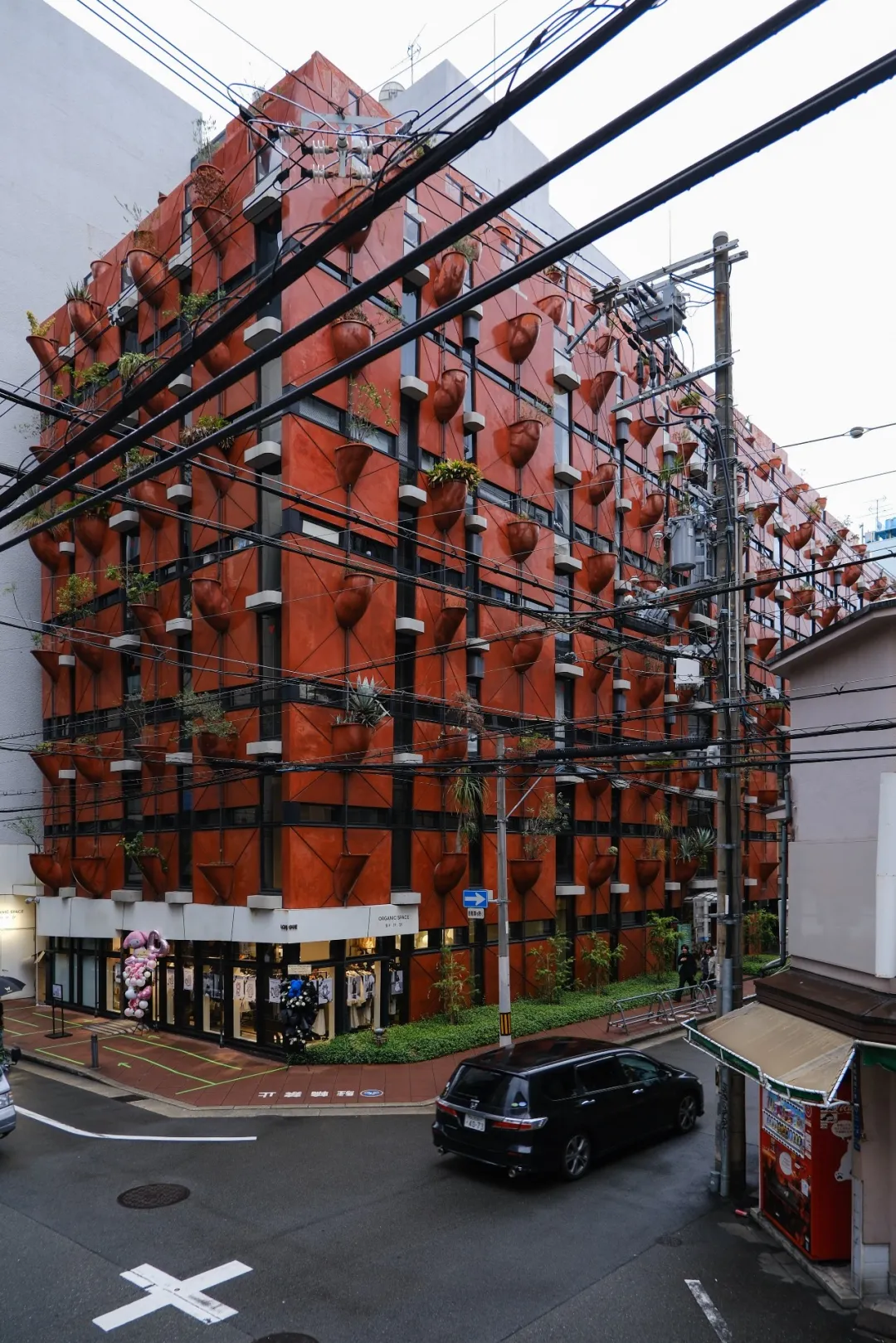 全球三个生态建筑案例用创新立面打破建筑自然边界 - 图片 6