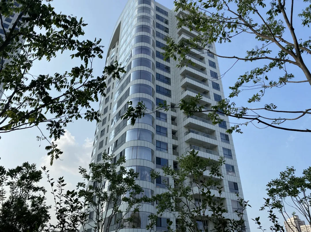 豪宅立面要差异化？异形色彩灯光是关键 - 图片 6