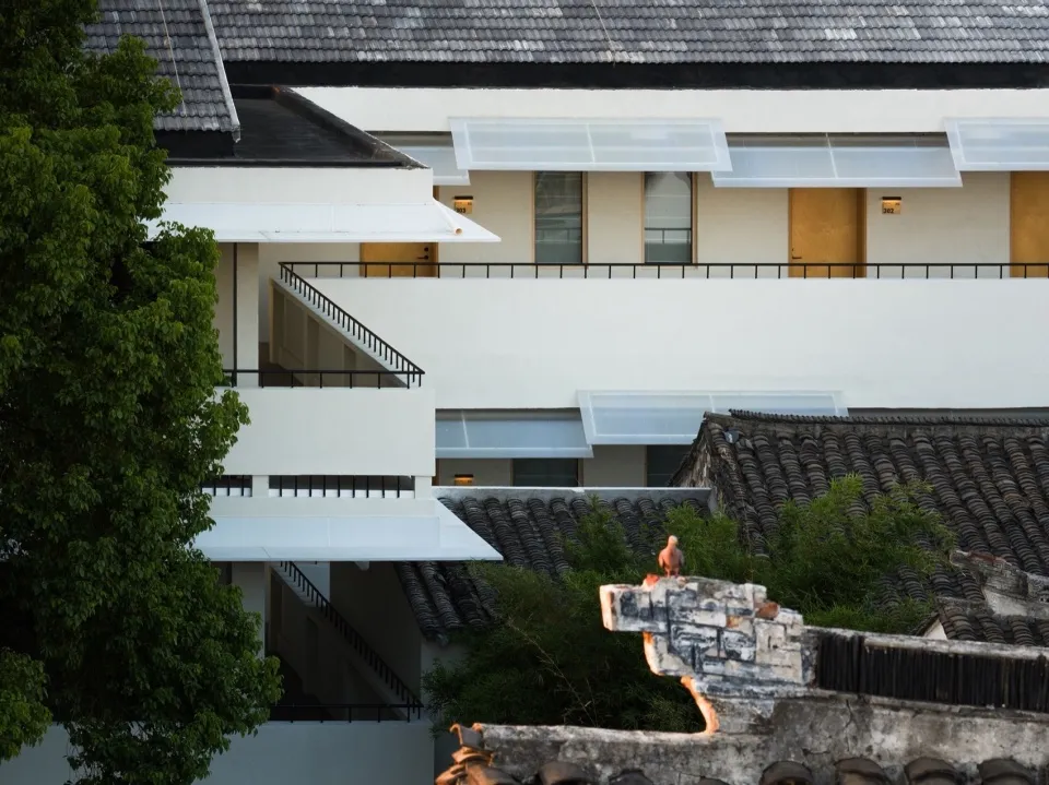 苏州平江路这家青年酒店竟用场地大树串起古城与青年体验 - 图片 5