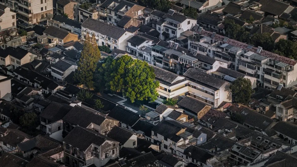 苏州平江路这家青年酒店竟用场地大树串起古城与青年体验 - 图片 6