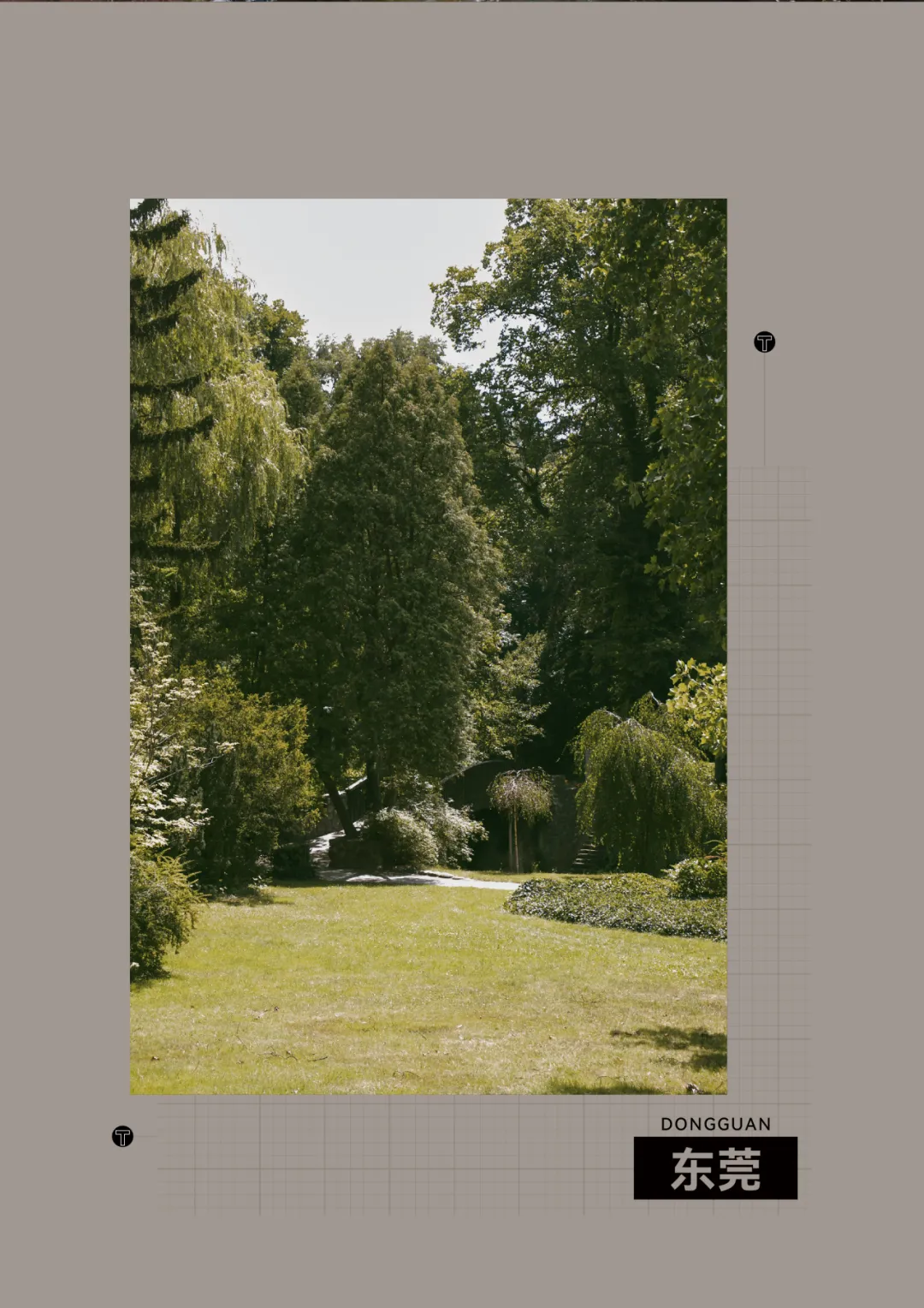 东莞火炼树项目：把岭南园林搬进现代空间 - 图片 8