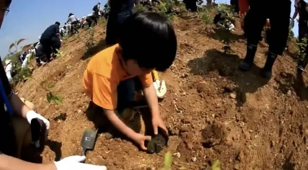 3个生境花园设计案例刷新设计师自然空间认知 - 图片 5