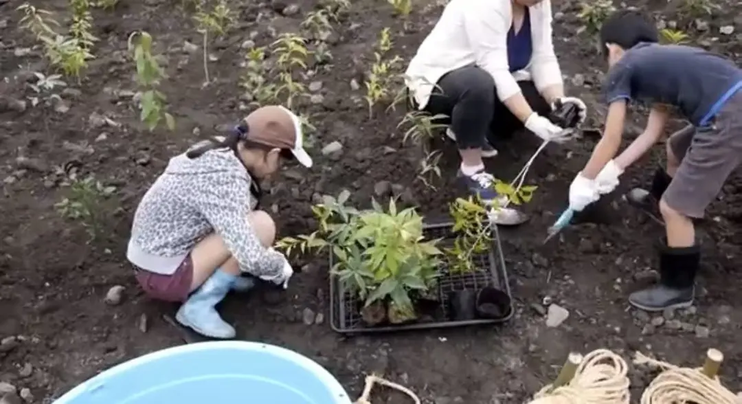 3个生境花园设计案例刷新设计师自然空间认知 - 图片 6