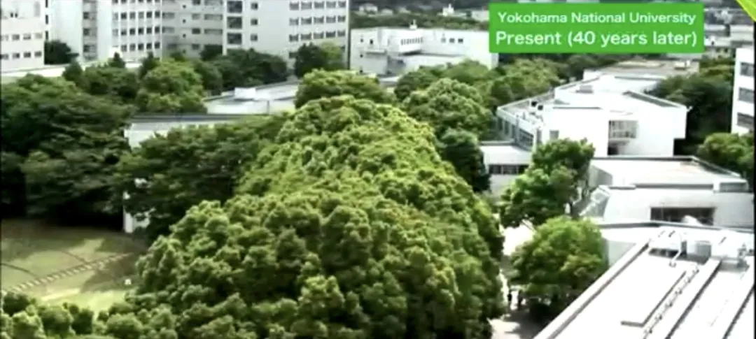 3个生境花园设计案例刷新设计师自然空间认知 - 图片 7