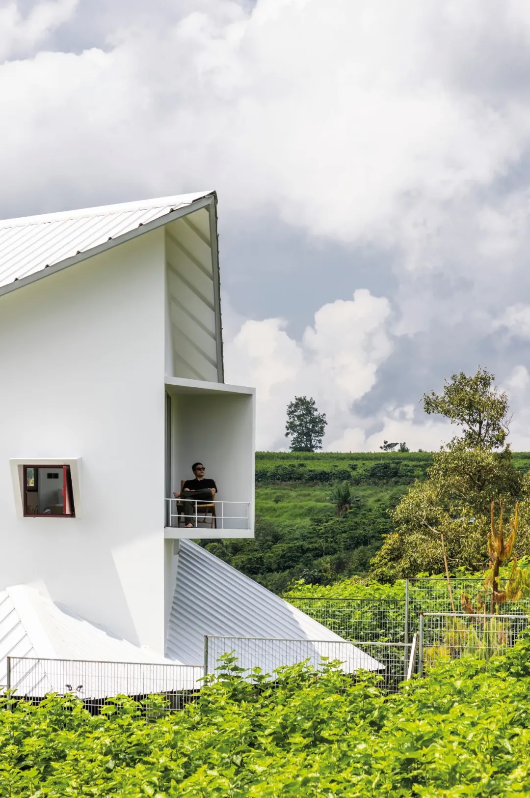 越南Dau Tam住宅自然地形共融的疗愈居所设计 - 图片 5