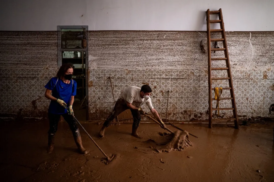 “设计上海”首携Earth 2025奖，青年用设计解气候题 - 图片 5