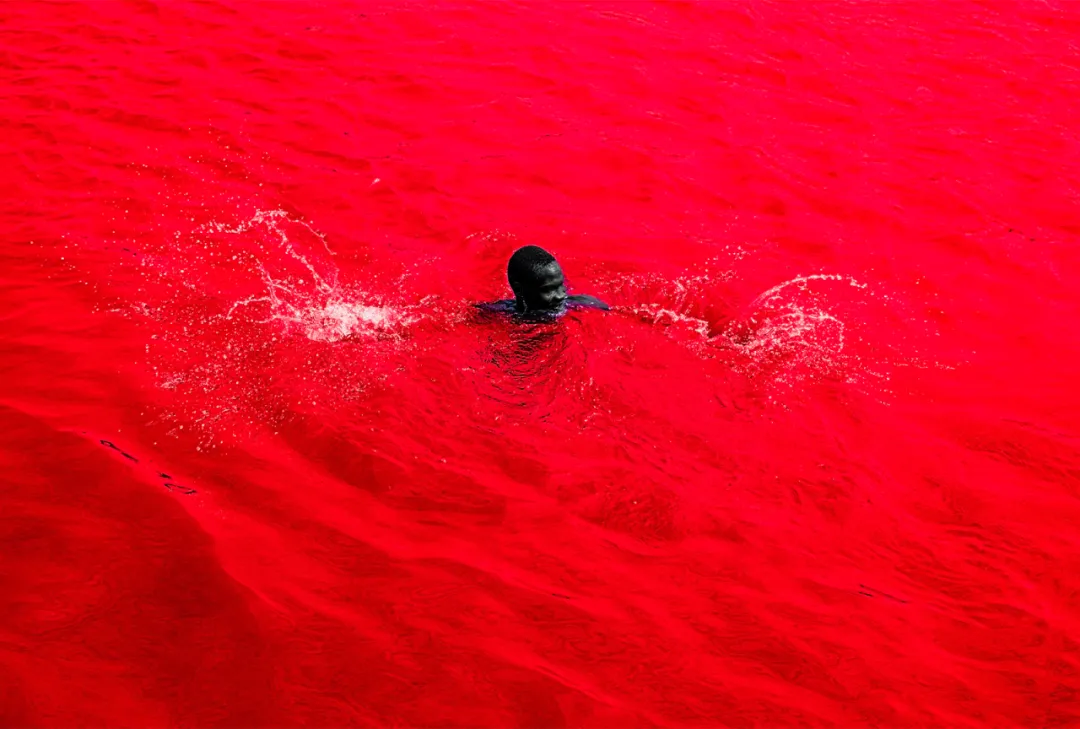 “设计上海”首携Earth 2025奖，青年用设计解气候题 - 图片 7