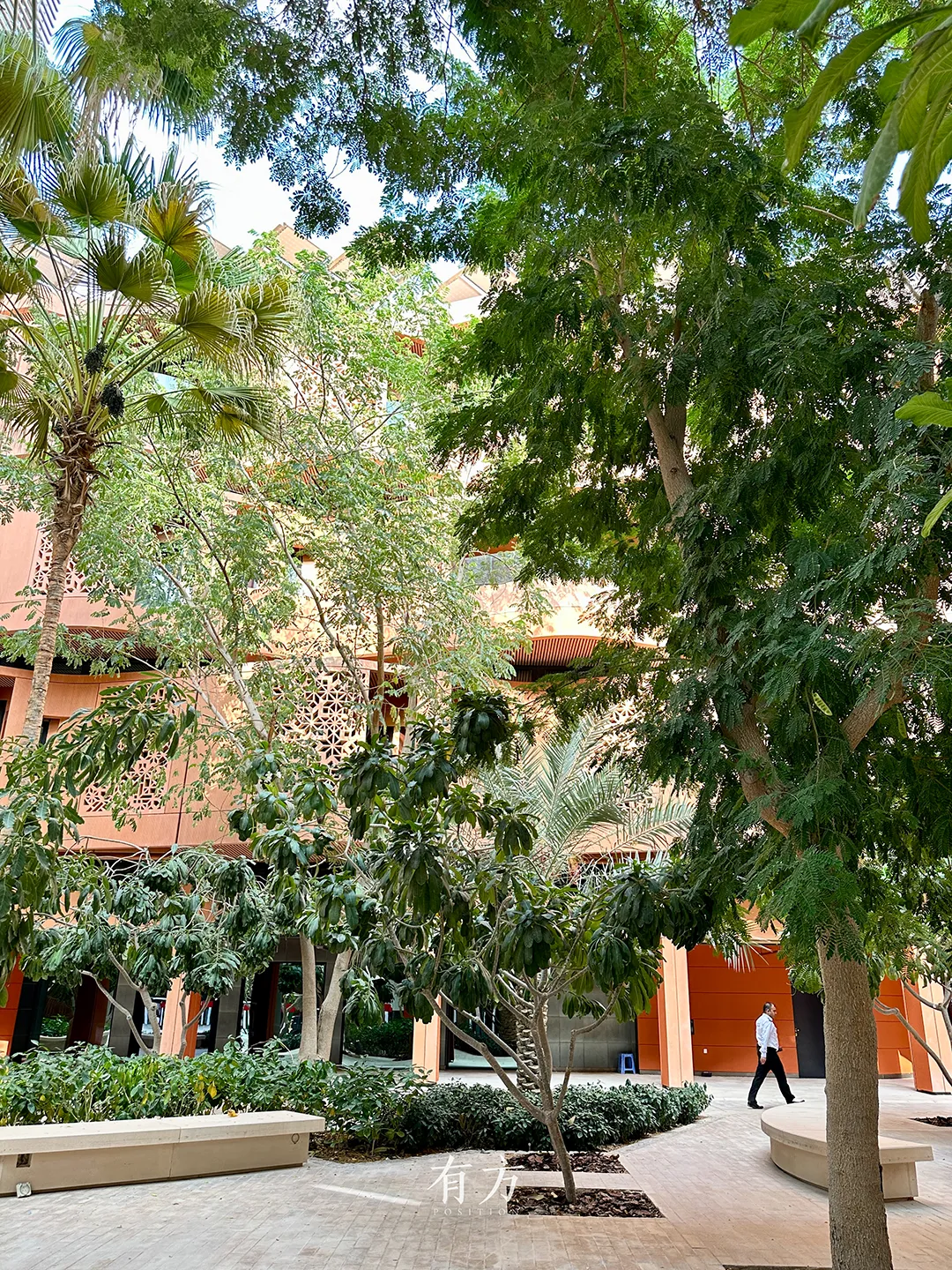 有方波斯湾建筑考察招募：聚焦马斯达尔城零碳设计 - 图片 7