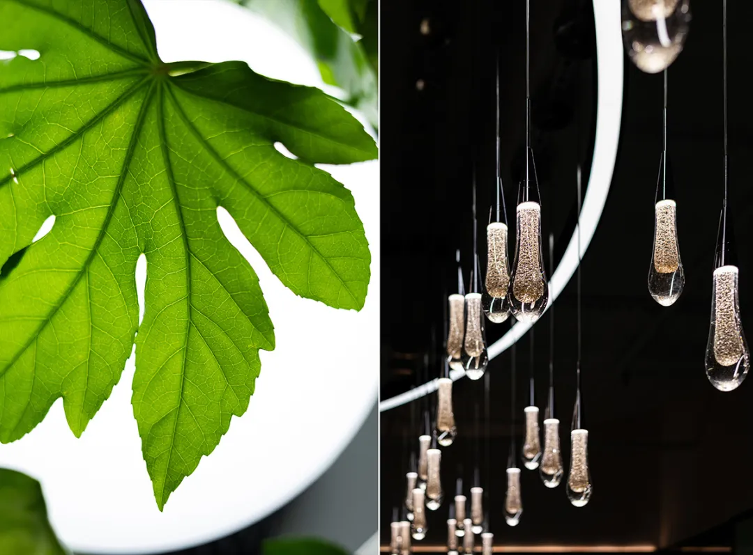 巴斯夫基辅1222㎡化工办公室设计：理性与人文温度共生 - 图片 7